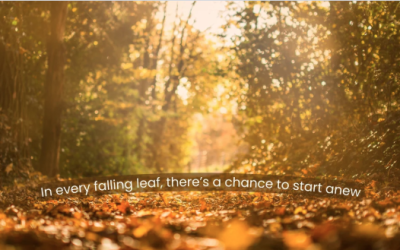 Autumn HR Reset for SMBs: Wellbeing Tips & HR Myth-Busters