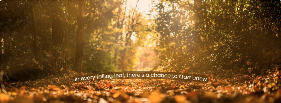 Autumn HR Reset for SMBs: Wellbeing Tips & HR Myth-Busters